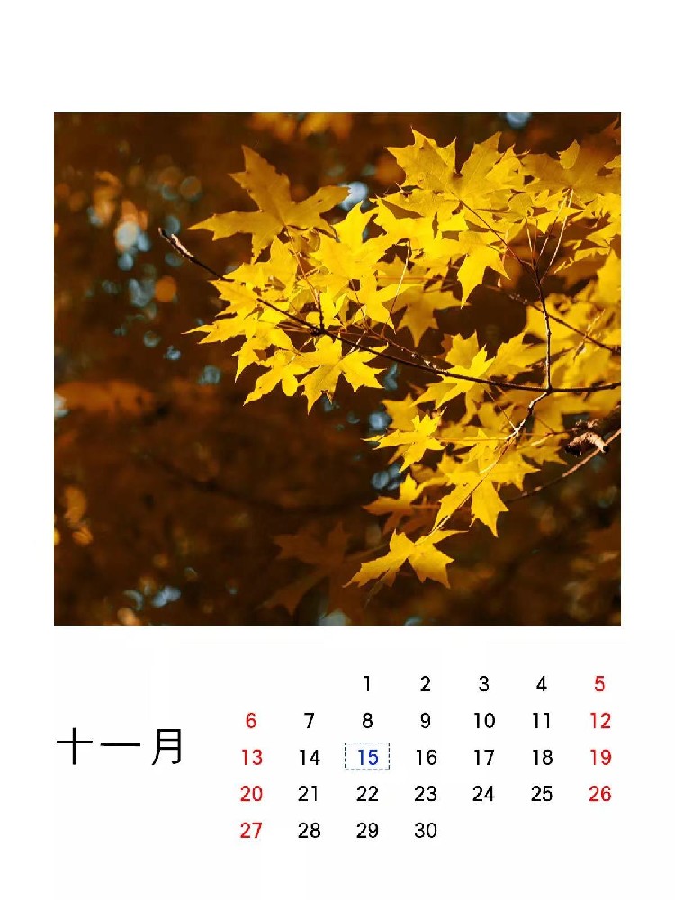微信圖片_20221114150520.jpg